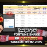 BUKTI JACKPOT SLOT FORTUNE SNAKE TERPERCAYA DI INDONESIA TGL 09-02-2025